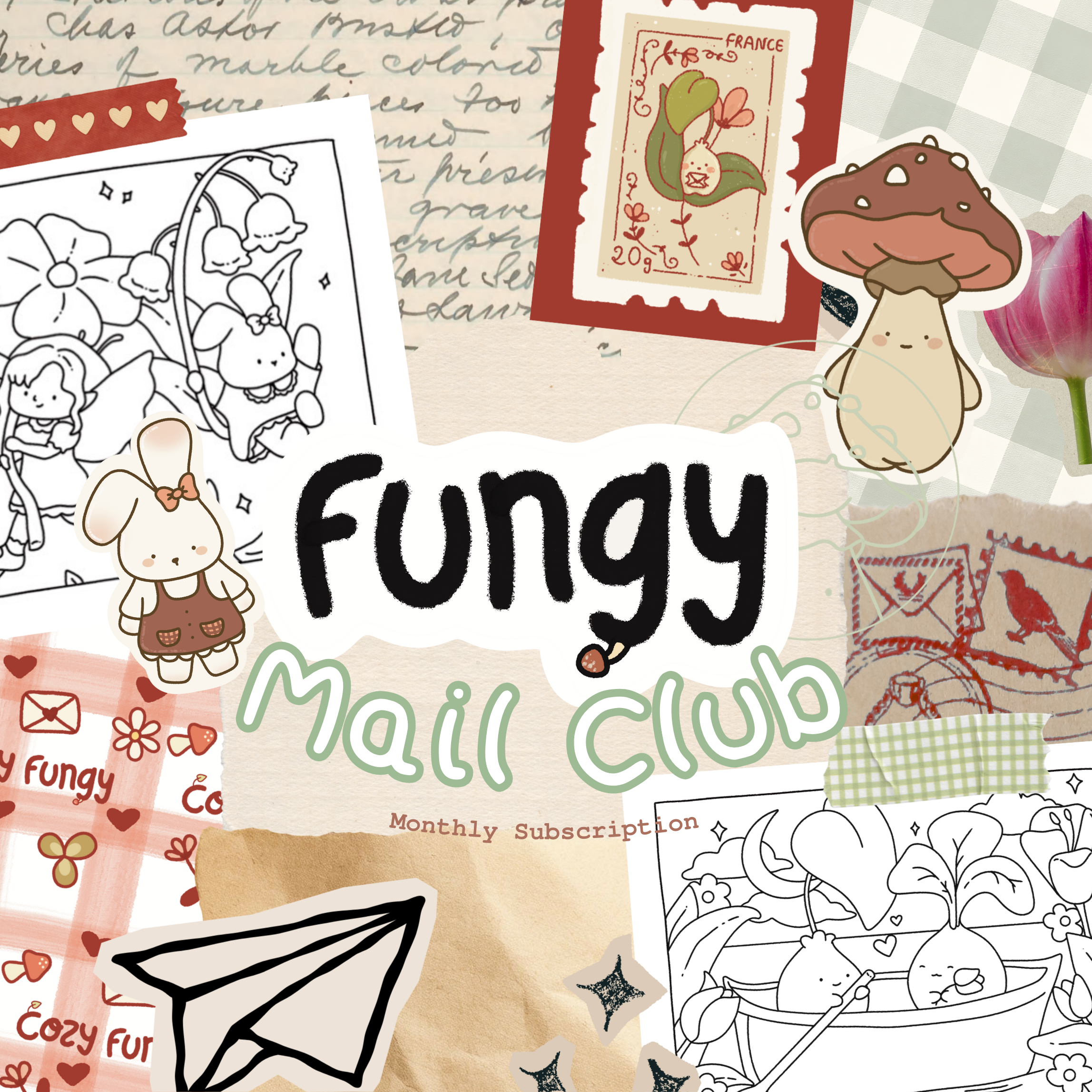 Snail Mail (France Only)